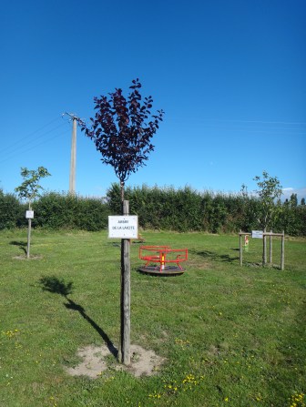 Les arbres au Clos Bidet