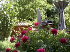 Fleurs Champ Bouchon