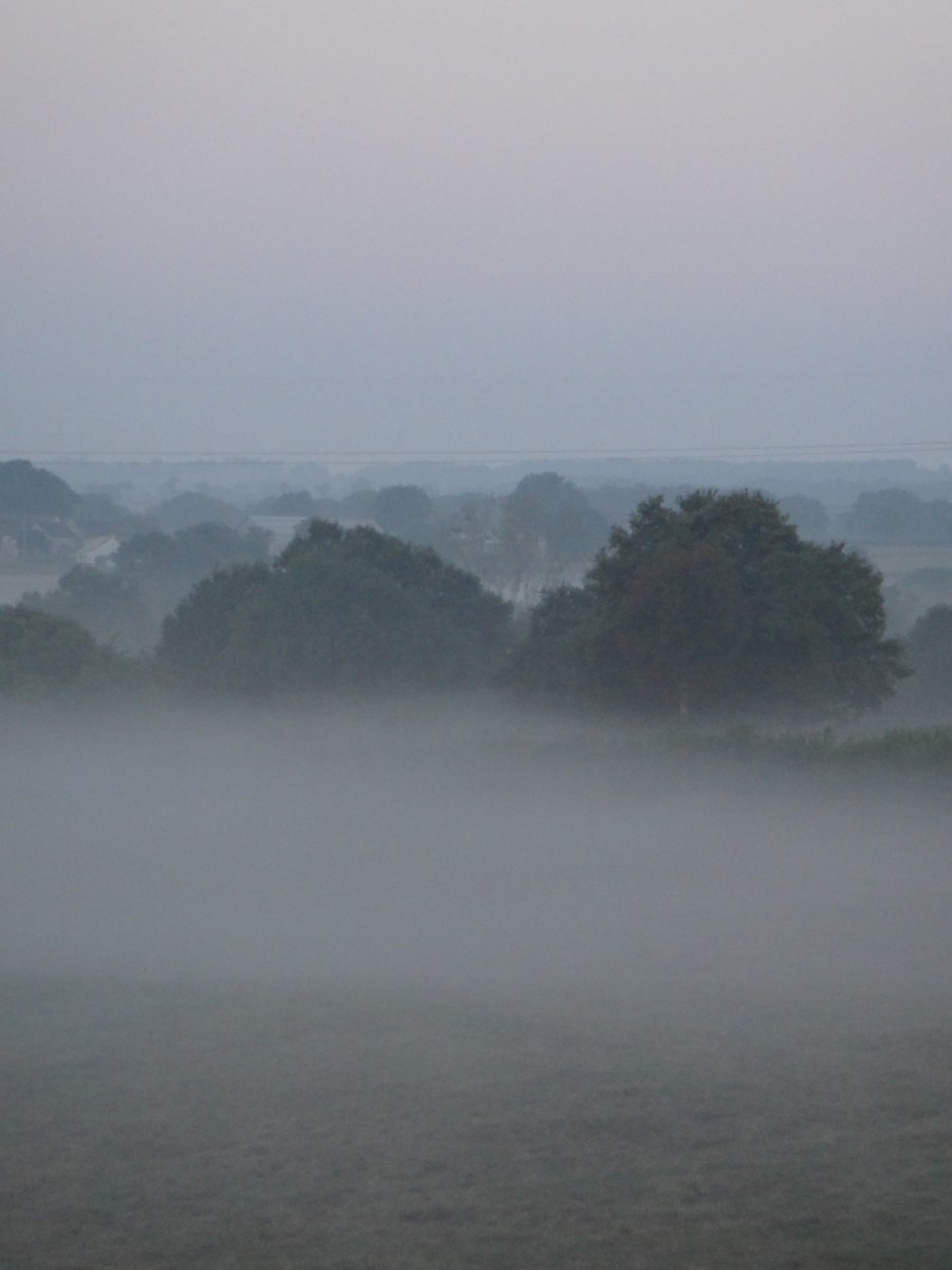 Brume sur les champs